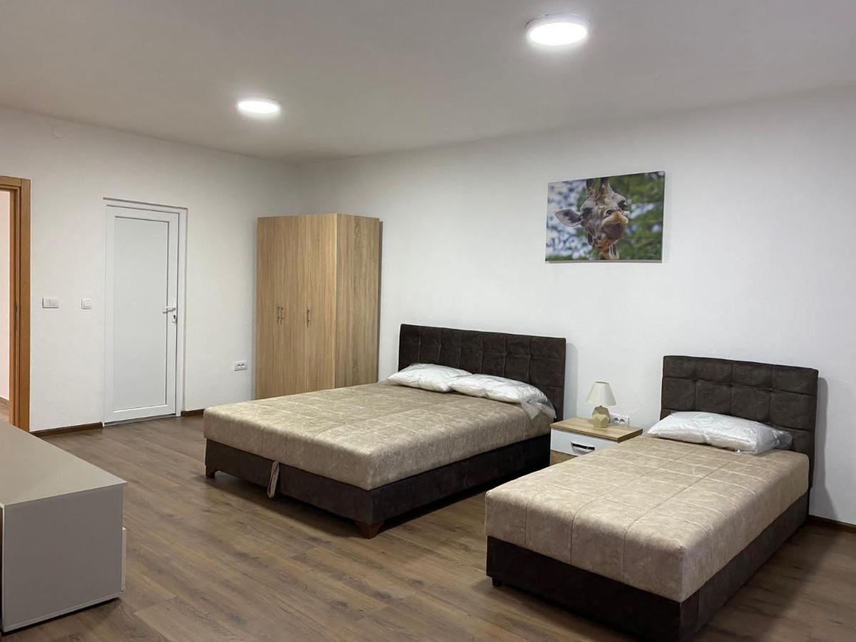 Vila Centar Mb Bed & Breakfast Sjenica Bagian luar foto