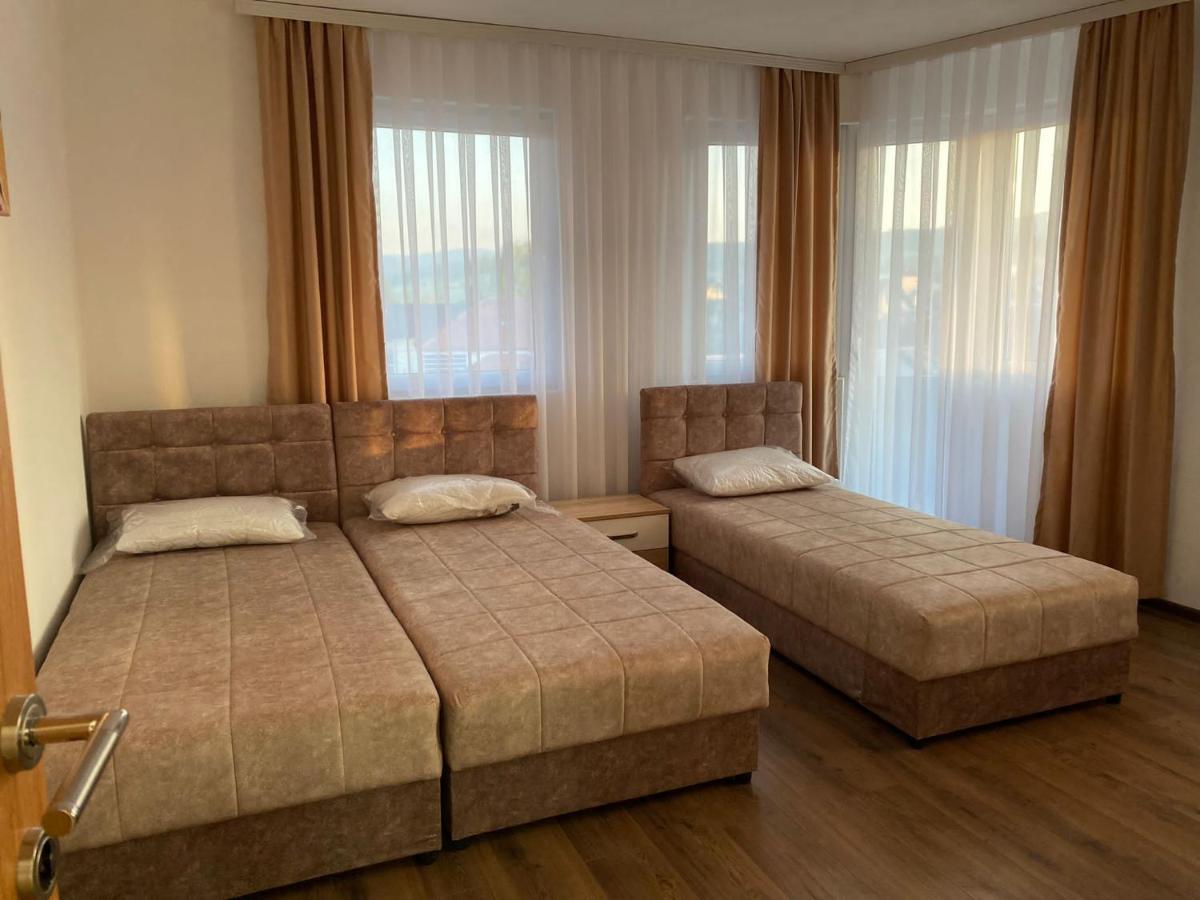 Vila Centar Mb Bed & Breakfast Sjenica Bagian luar foto